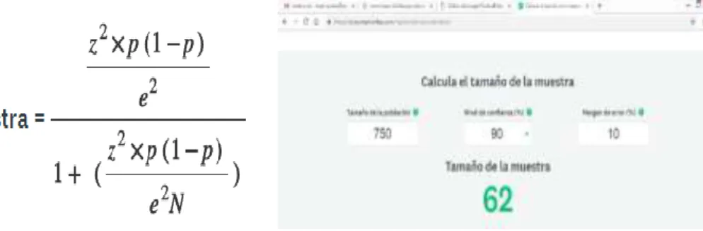 Figura 5 . Muestra 