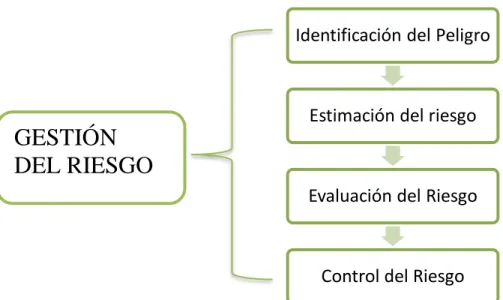 Fig. 2.1. Esquema Gestión del Riesgo 2 . 