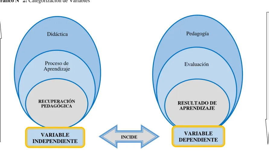 Gráfico N° 2: Categorización de Variables 