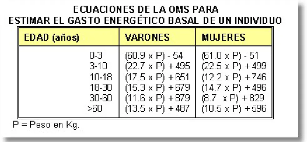 Figura 2: Gasto energ´etico Basal