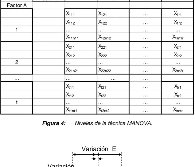 Figura 5:  Represntación Gráfica de los Niveles de la técnica MANOVA. 