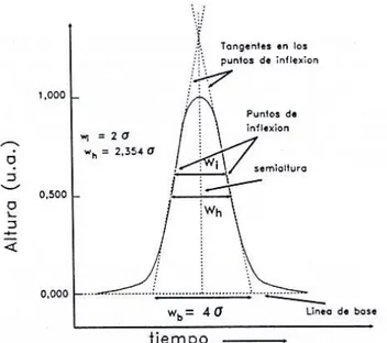 Figura  2.7.  Parámetros  característicos  de  un  pico  cromatográfico  (Figura  tomada  de:  ALBELLA, J.M.; CINTAS, A.M.; MIRANDA, T