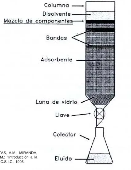Figura tomada de: