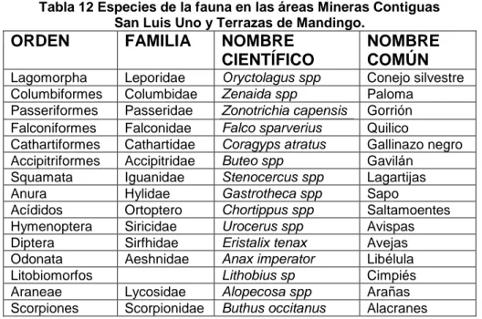 Tabla 12 Especies de la fauna en las áreas Mineras Contiguas  San Luis Uno y Terrazas de Mandingo