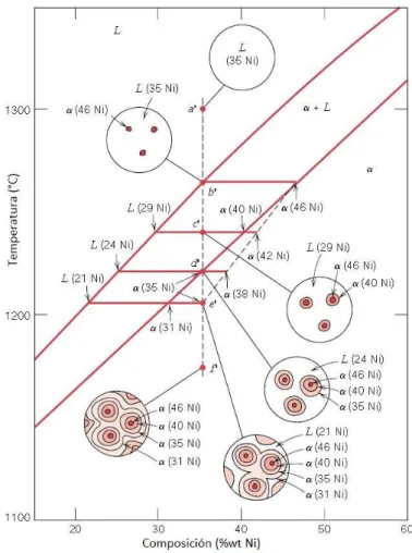 Figura 7. Sistema Cu-Ni y su representación en la evolución de microestructuras durante la solidificación fuera del 