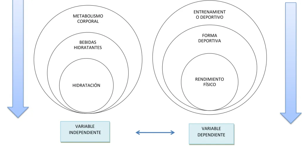 Gráfico No.2. Superordinación Conceptual.  