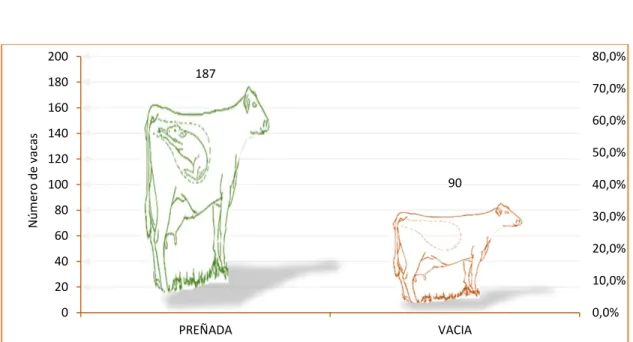 Tabla  4  y en la Figura 14,  la eficiencia reproductiva (ER) en los animales estudiados fue  de 68%