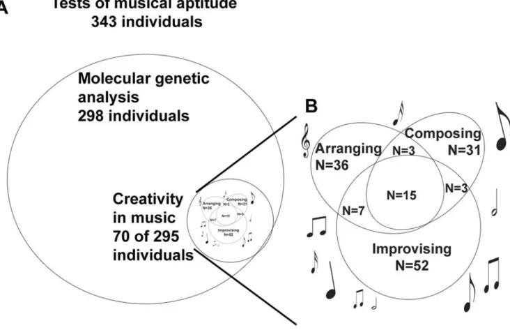 Figure 2. The participants of the study. A. Total of 343 individuals participated in the tests of musical aptitude and filled in the questionnaire, of them 298 gave DNA samples, and 70 reported creativity in music (composing, improvising and/or arranging)