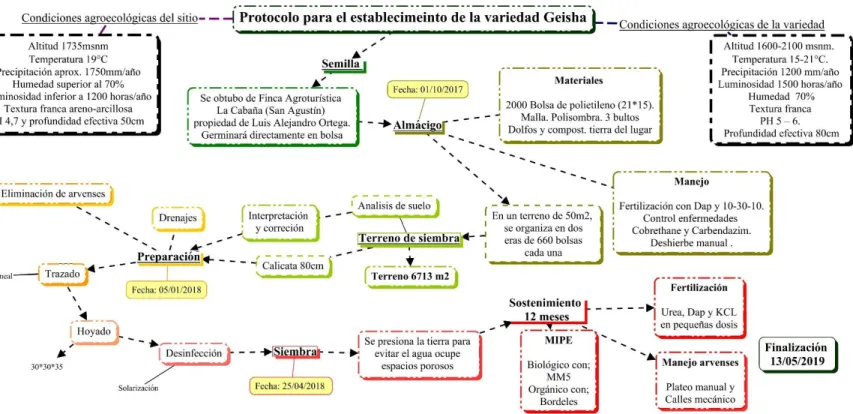 Figura 5. Mapa conceptual Protocolo para el establecimiento  Fuente: del autor 