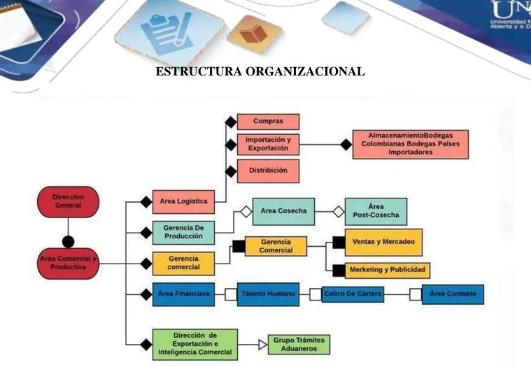 Figura 5. Estructura Organizacional 