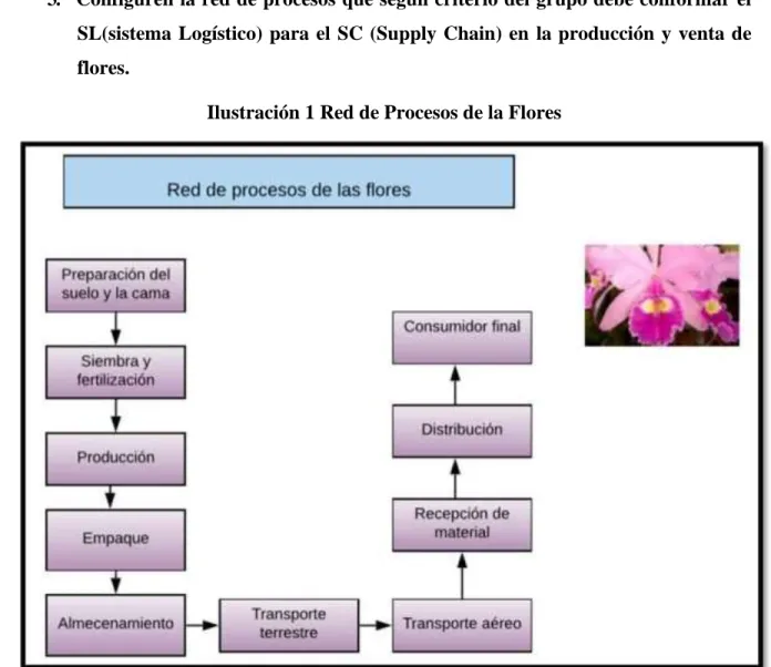 Ilustración 1 Red de Procesos de la Flores 