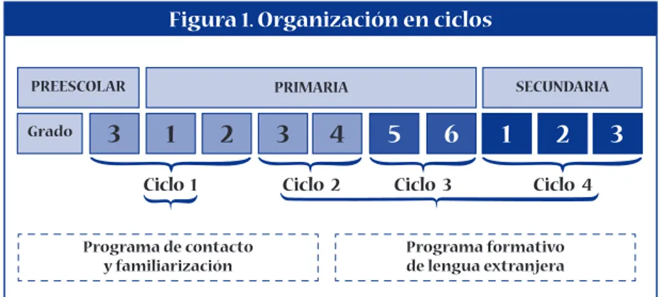 Figura 1. organización en ciclos