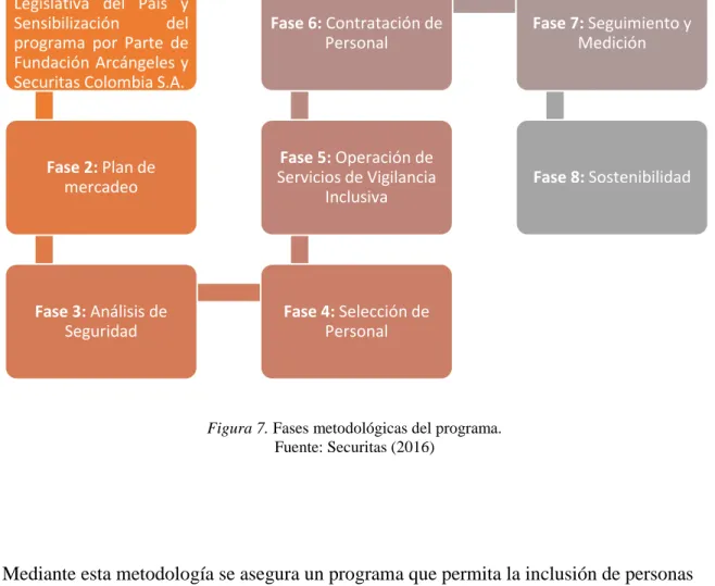 Figura 7. Fases metodológicas del programa.  