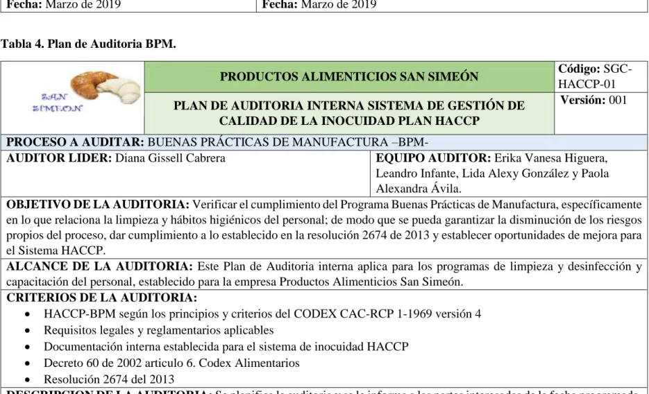 Tabla 4. Plan de Auditoria BPM. 