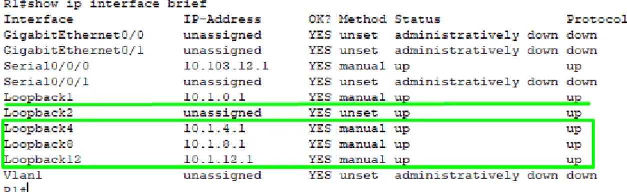 Figura 3. Interfaces Loopback configuradas 