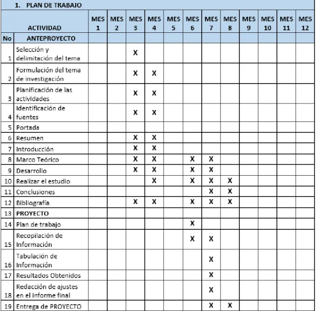 Tabla 1 : Cronograma de actividades 