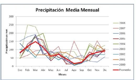 Ilustración 4. Precipitación Media Mensual 
