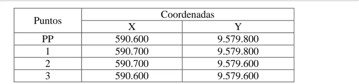 Cuadro 1.  Coordenadas del área  