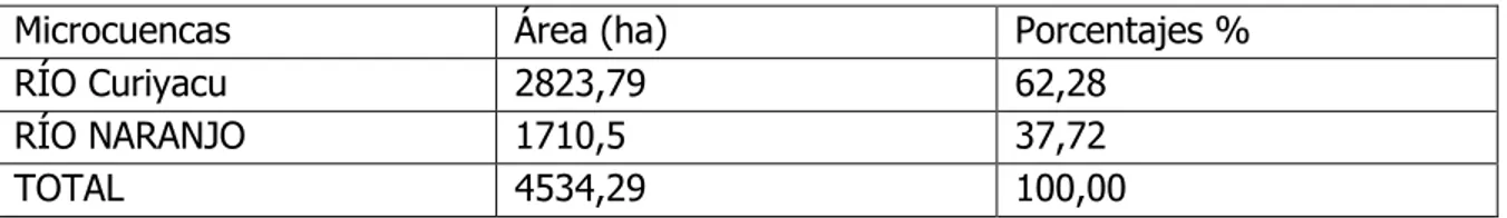 Cuadro 4. Extensión de las Cuencas hidrográficas  