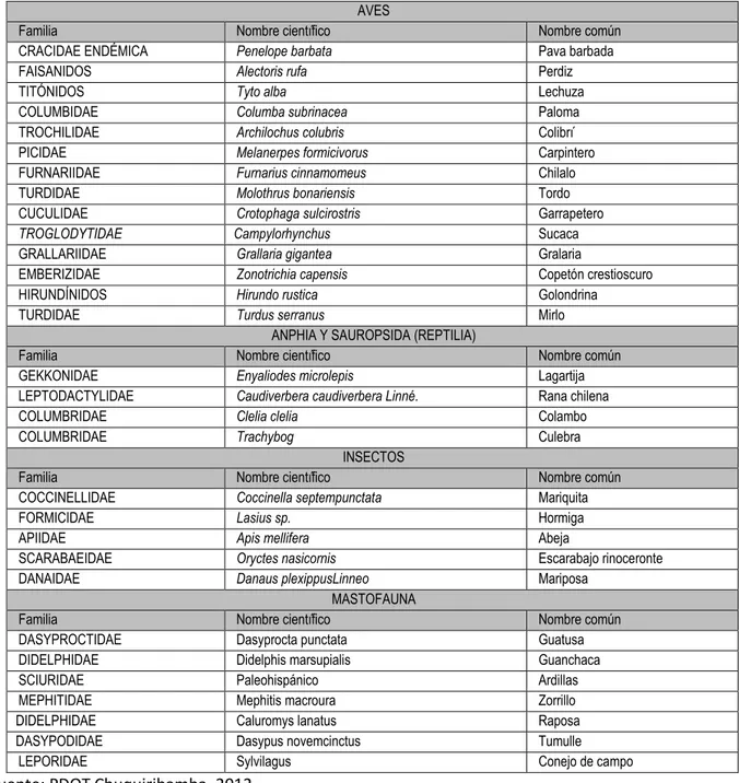 Cuadro 2.  Especies encontradas de aves, reptiles e insectos 