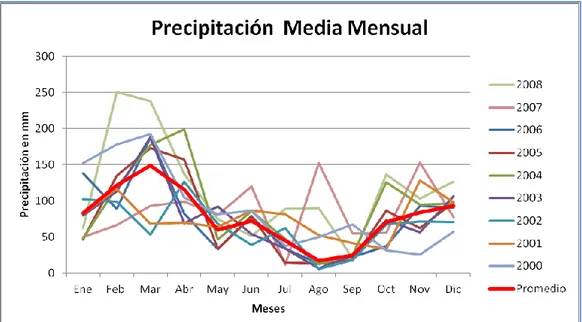 Figura 12.  Precipitación media mensual 