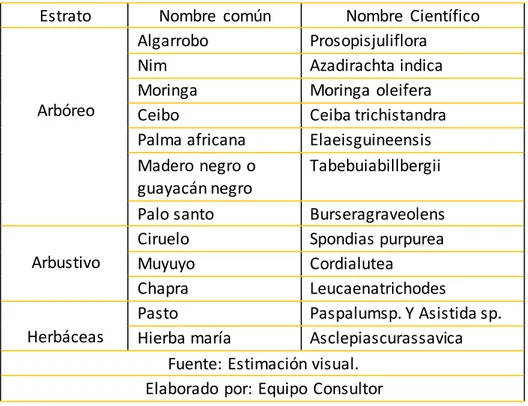 Tabla 6Inventarios Cuantitativos 