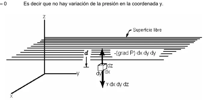 Fig 12. Distribución de presiones en un líquido en reposo. 