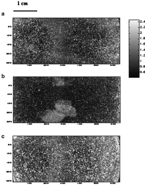Figure 11. Images of pixel standard deviation calculated through blending trials for the top (a) cross section (b) and bottom (c) of the blend compact