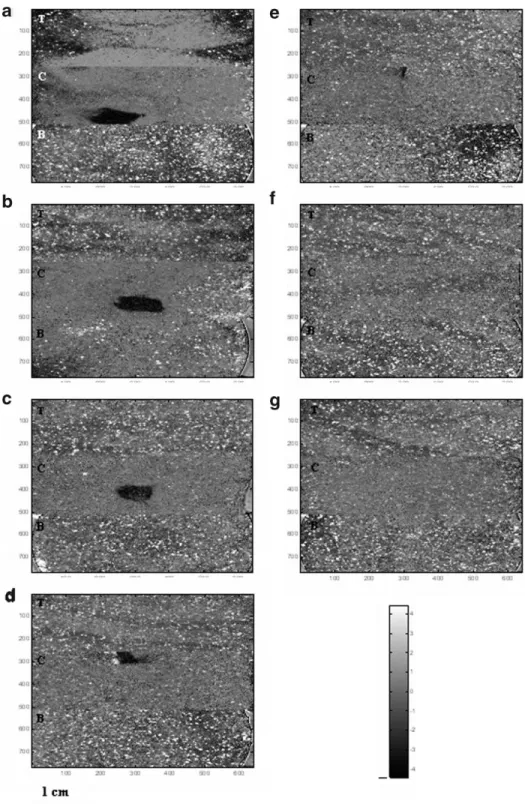 Figure 6. Concatenated PCA score images of selected blending trials of three locations (T ¼ blend top surface, C ¼ cross section surface of blend compact, B ¼ bottom surface of blend compact)