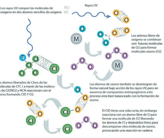 Ilustración 5. Destrucción de la capa de ozono. 