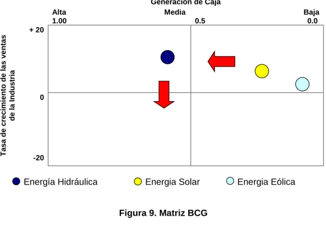 Figura 9. Matriz BCG 