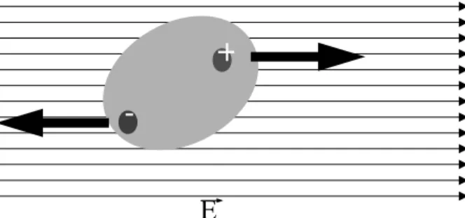 Figura 1.2: Desplazamiento de las cargas en una molécula debido al campo externo. El centro de carga negativa se desplaza en relación al centro de carga positiva.