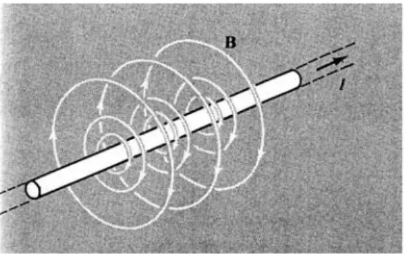 Figura 1.6: Líneas de campo magnético producido por una corriente filamental