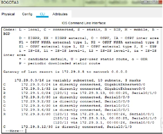 Figura N°. 4 Verificando redes conectadas directamente