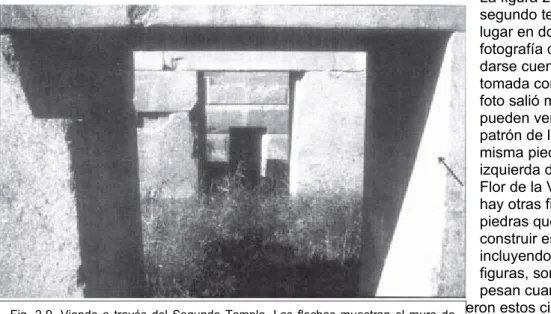 Fig. 2-10. La misma Flor de la Vida que estaba en la foto de Katrina [Fig. 1-16] Fig. 2-12 La Semilla de la Vida en medio de la Flor de la 