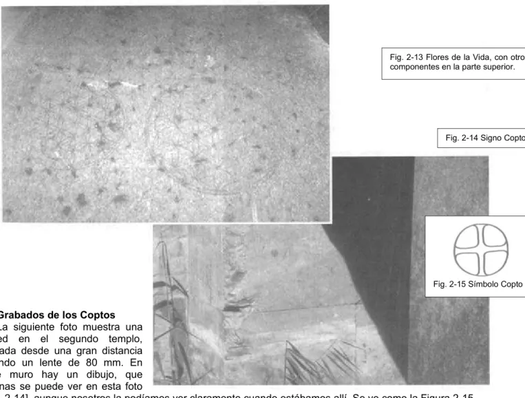Fig. 2-13 Flores de la Vida, con otros  componentes en la parte superior.