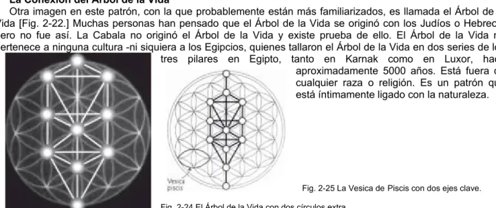 Fig. 2-21 La Semilla de la Vida, extraída de la Flor   
