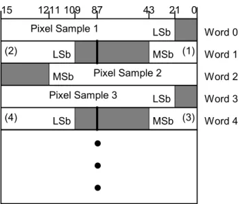 Figure D-4:  Example Pixel Cells Packed into 16-bit Words (VR = OW) 