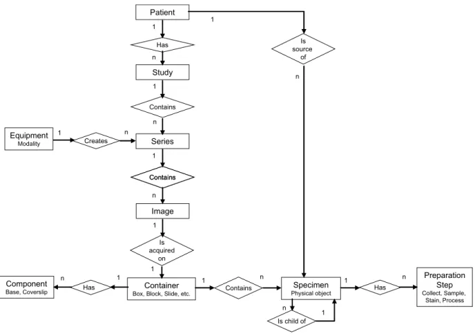 Figure 7.9-1 - DICOM MODEL OF THE REAL WORLD - SPECIMENS   7.9.1 Specimen  