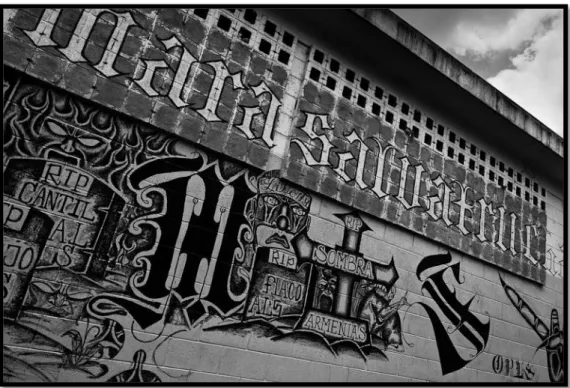 Ilustración 6. Graffiti de la pandilla salvadoreña Mara Salvatrucha. Fotografía: Jan Sochor