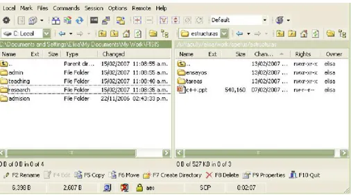 Figura 3.6: Una captura de la pantalla de vista de archivos de WinSCP.