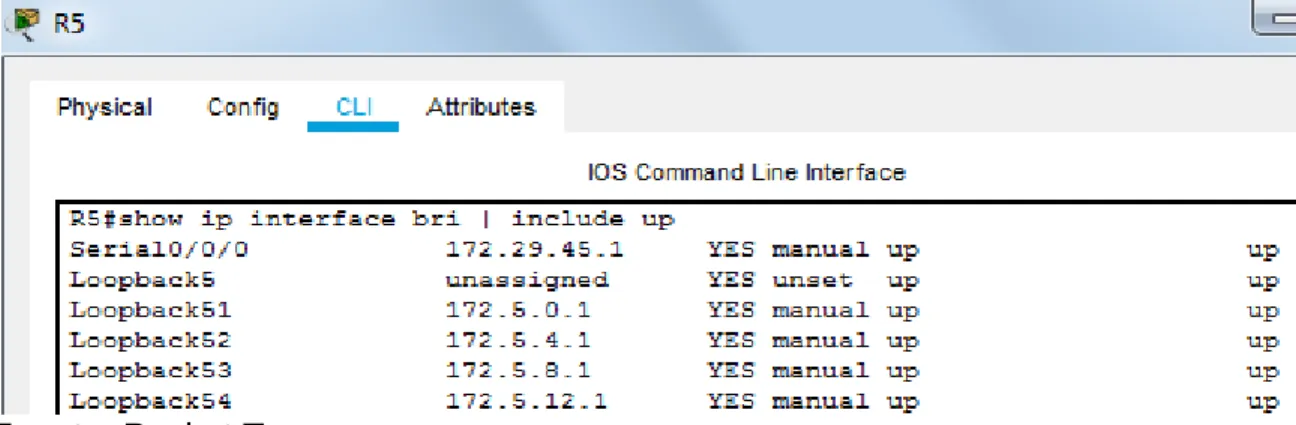 Figura 2. Interfaces Loopback en R5 