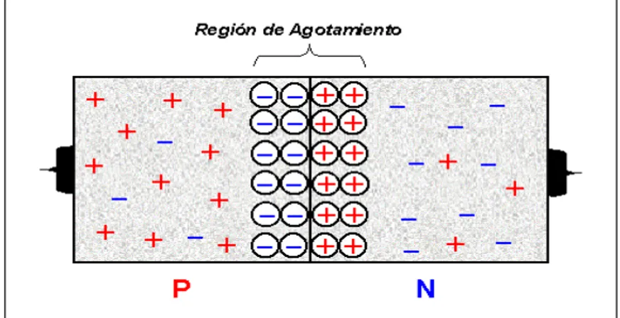 Figura 1-13. Representación esquemática de la región de agotamiento.