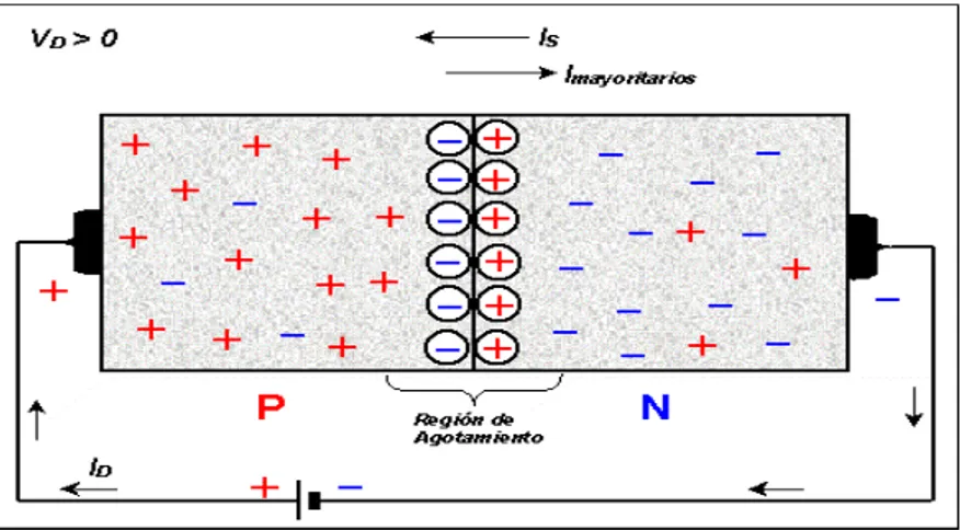 Figura 1-14. Aplicación de un voltaje a través de las terminales del diodo. 