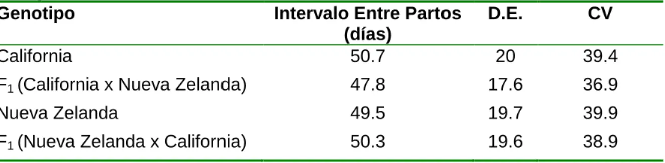 Tabla  2.  Estadísticas  descriptivas  para  intervalos  entre  partos  de  acuerdo  al  genotipo