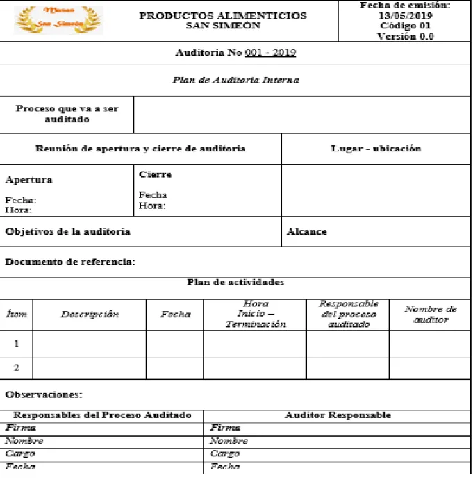 Figura 3-1 Formato plan de auditoria. 