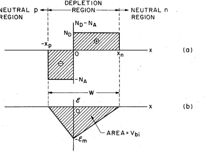 Fig. 7: (a) Distribución espacial de carga en la zona de la unión en equilibrio térmico.