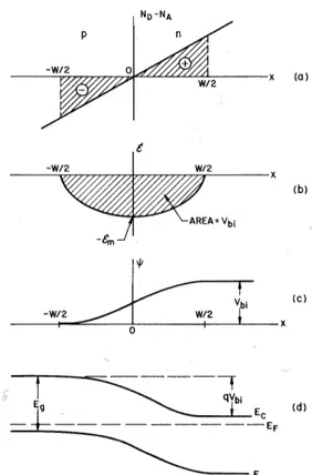 Fig. 9: Unión gradual en equilibrio térmico. (a) Distribución espacial de carga. (b)