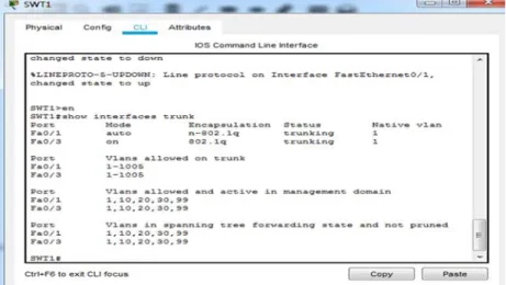 Figura 14. Show interfaces a SWT2. 