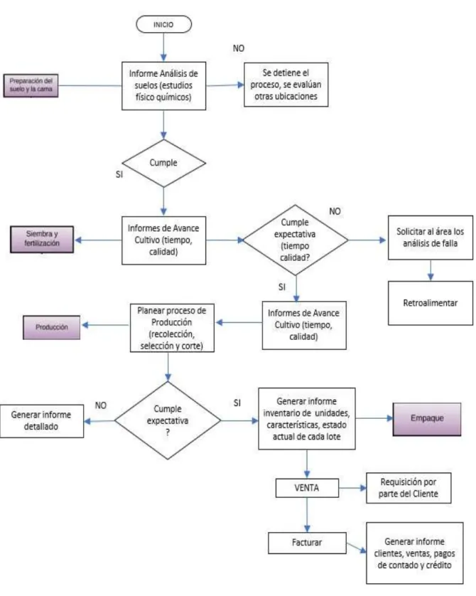 Figura 5 Diagrama de flujo de información. 
